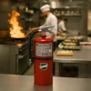 Complete Business Fire Extinguisher Safety Pack — Buckeye Commercial Bundle - Image 3